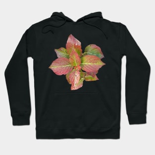 Red leaves Hoodie